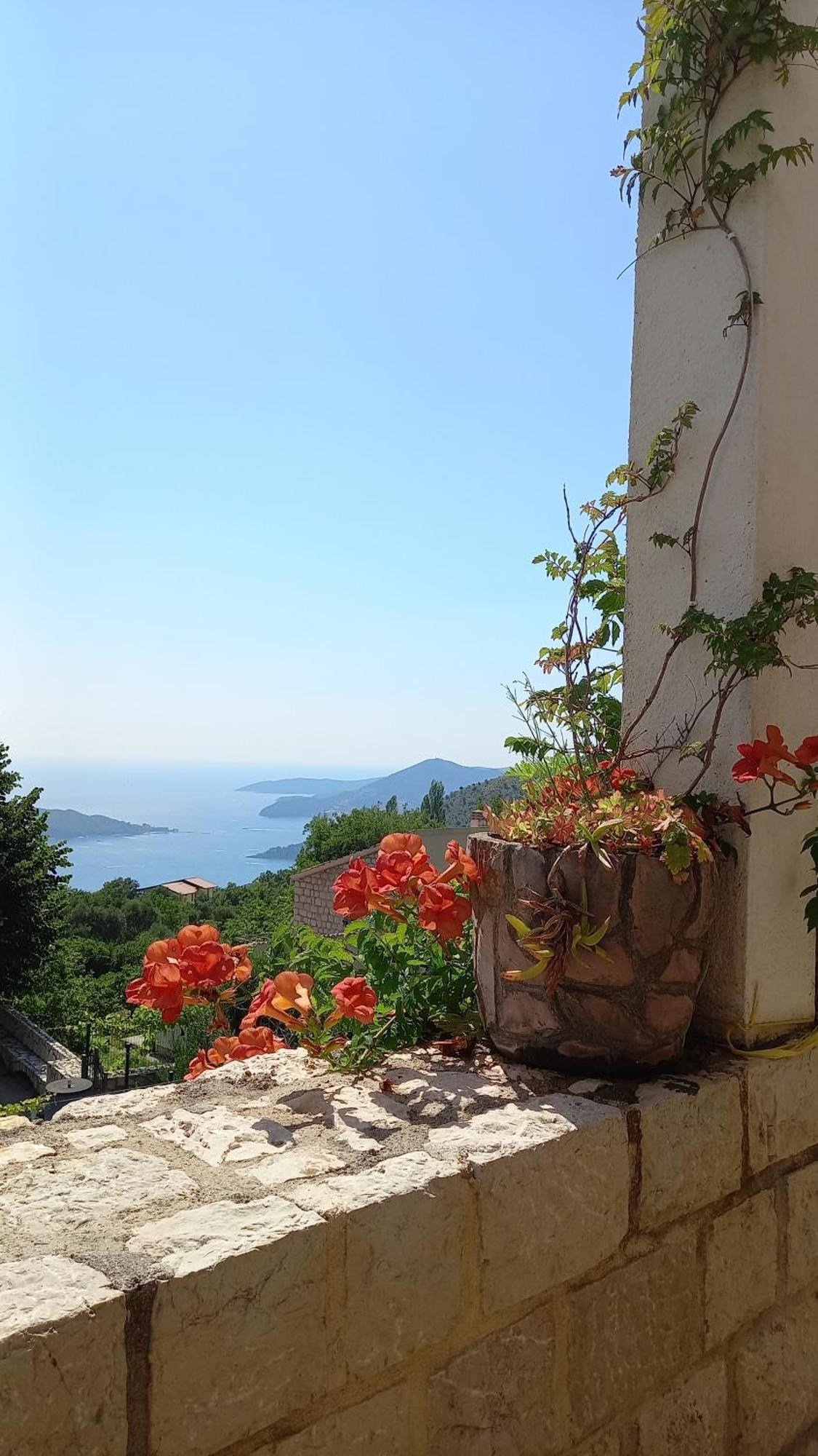 Villa Lidija Budva Bagian luar foto