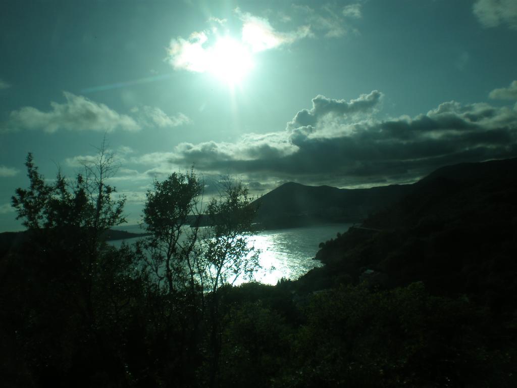 Villa Lidija Budva Ruang foto