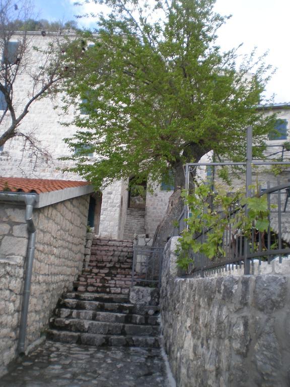 Villa Lidija Budva Ruang foto