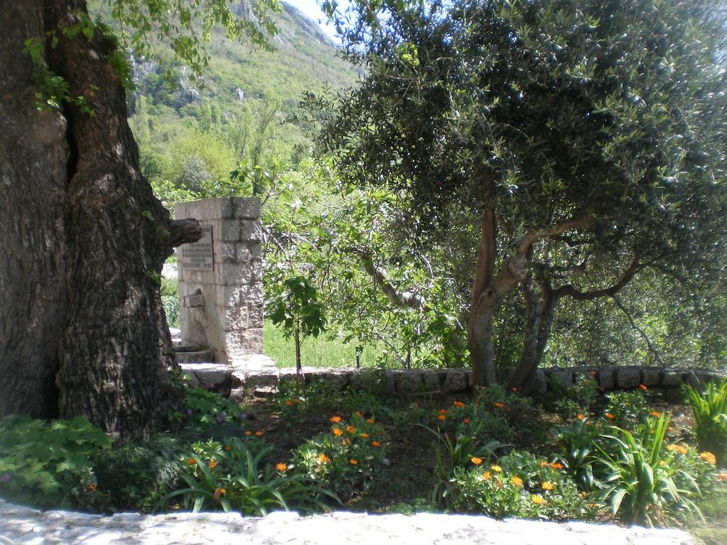 Villa Lidija Budva Ruang foto